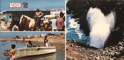 La Jolla Beach Postcard