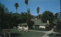 Los Laureles Lodge Postcard