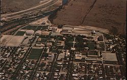The University of Montana Campus Postcard