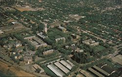 University of Pacific Postcard