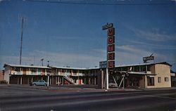 Safari Motel Postcard