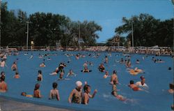 Municipal Pool Postcard