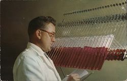 Lederle Laboratories Division, American Cyanamid Company Postcard