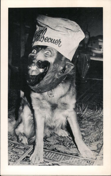 The Barbecuer Photographic Art