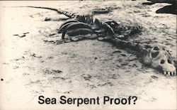 Sea Serpant Proof port costa California