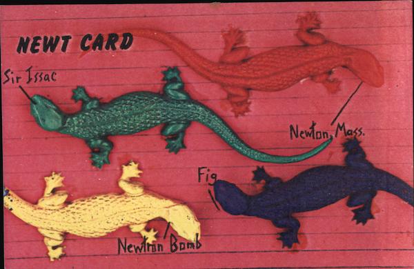 Newt Card Xerox Art