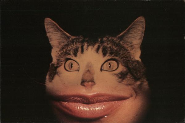Pussycat with Human Lips Modern