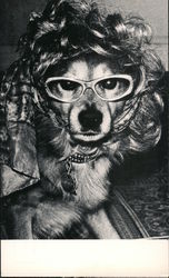 Glamour Dog Postcard