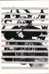 Carlo Pittore Sheet Music Mail Art Postcard