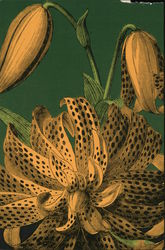 Fleur Post 11 Postcard