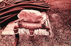 Tornoto Island Natural Resources Postcard