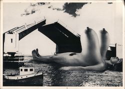 View of the Harbor Postcard