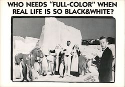 Who Needs "Full-Color" When Real Life Is So Black & White Postcard