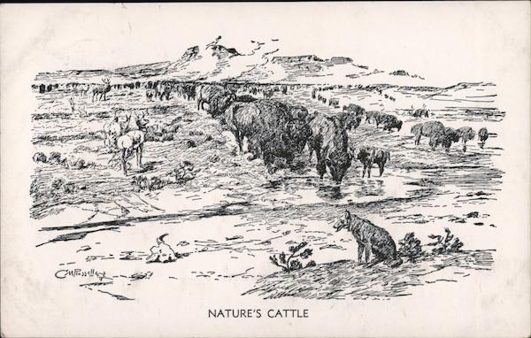 Nature's Cattle -- Bison on the Plains Charles Marion Russell