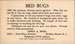 "Bed Bugs" - James A Hogg, Exterminator Bradley Beach, NJ Postcard Postcard Postcard