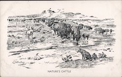 Nature's Cattle -- Bison on the Plains Charles Marion Russell Postcard Postcard Postcard