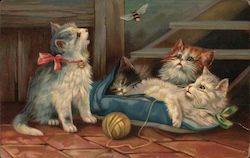 Kittens and Ball of Yarn Postcard