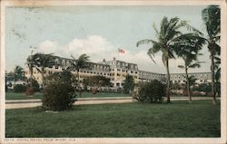 Hotel Royal Palm Miami, FL Postcard Postcard Postcard
