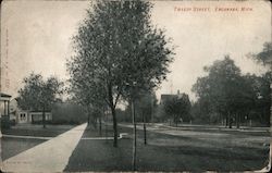 Looking Along Tweedy Street Postcard