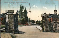 Entrance to Grounds, Nevada State University Postcard