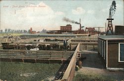Stock Yards Postcard