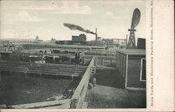 Stock Yards and Hutchinson Packing House Postcard