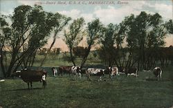 Stock #884105 Thumbnail