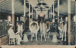 Modern Milking at Kansas State Agricultural Colleg Manhattan, KS Postcard Postcard Postcard