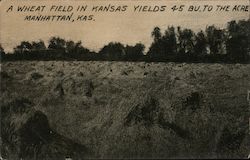 A Wheat Field In Kansas Yields 4-5 Bu. To The Acre Postcard