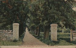 Lovers Lane, Kansas State Agricultural College Postcard