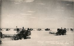 Wheat Harvest Postcard