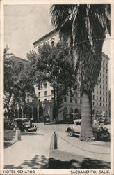 Hotel Senator Postcard