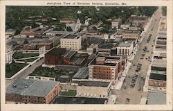 Aeroplane View of Business Section Postcard