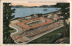 Panama-Pacific International Exposition, San Francisco 1915 Postcard