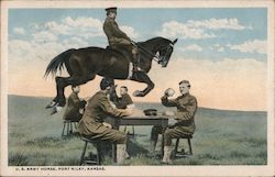 U.S. Army Horse Jumps Morning Coffee Postcard