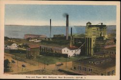 Pulp and Paper Mill Postcard