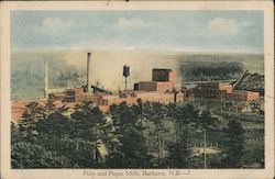 Pulp and Paper Mills Postcard