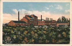 Sugar Factory Chino, CA Postcard Postcard Postcard