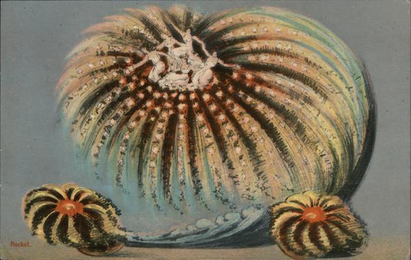 Women Riding a Rocket Kansas City Missouri