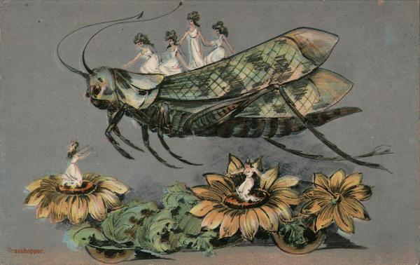 Fairies Riding a Grasshopper Kansas City Missouri