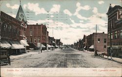 Commercial Avenue Postcard