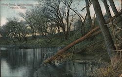 Shady Nook, Neosho River Postcard
