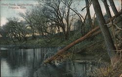 Shady Nook, Neosho River Emporia, KS Postcard Postcard Postcard