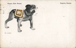 Kansas State Normal Mascot Postcard