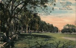 Soden's Grove, Chautauqua Grounds Postcard