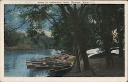 Scene on Cottonwood River Postcard