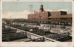 Live Stock Exchange Postcard