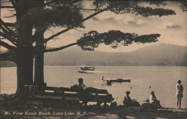 Mt. View House Beach Loon Lake New York