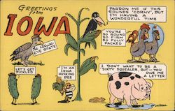 Greetings from Iowa Postcard