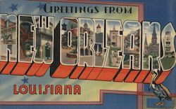 Greetings From New Orleans Postcard